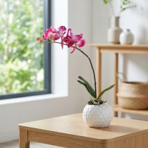 Artículo Orquídeas artificiales en maceta Phalaenopsis flores artificiales orquídeas rosa 34cm