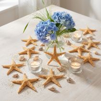 Artículo Estrella de mar dispersión decoración hogar deco mini estrella de mar naturaleza 2-4cm 50p