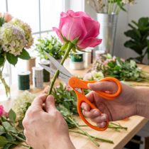 Artículo Tijeras para flores con dientes de acero inoxidable en color naranja 20cm