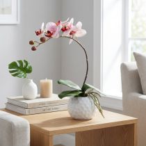 Artículo Orquídea rosa en maceta de cerámica 31cm