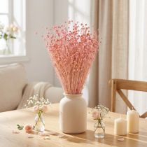Artículo Hierba de lino seca decorativa rosa claro 50-55 cm 80 g Decoración de mesa