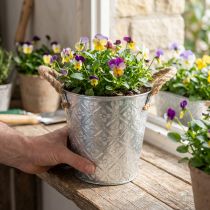 Artículo Maceta metálica para plantar, maceta con asas, jardinera con estampado floral Ø18cm