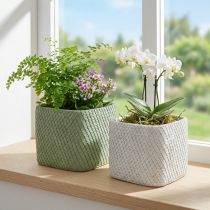 Artículo Jardinera cerámica blanco verde malla relieve 17x17cm H15cm 2pcs