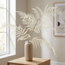 Artículo Decoración de helecho seco helecho blanqueado Al.75cm 10 piezas