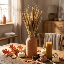 Artículo Floristería seca Grano Manojo de mazorcas de mijo secas 45cm
