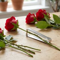 Artículo Dethorner rosa clásico dethorner plata para rosas 13cm