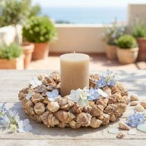 Artículo Corona de conchas decoración de pared corona decorativa natural para colgar Ø35cm