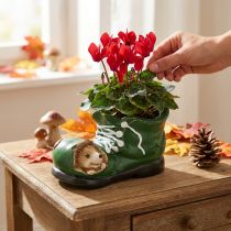 Artículo Jardinera decorativa, zapato verde con erizo, cerámica 14x13cm H13cm
