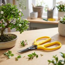Artículo Tijeras para bonsái y pinzas Oasis 15,5 cm