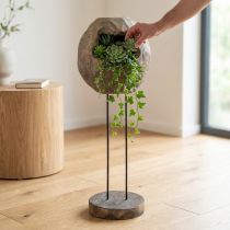 Artículo Deco escultura planta bola de madera de paulownia Al. 68cm