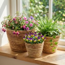 Artículo Juego de cestas de ratán para plantas, natural/marrón, 3 piezas, Ø26/22/16 cm – Decorativas y versátiles