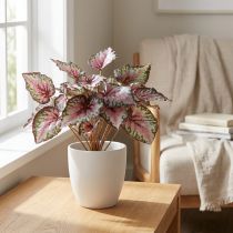 Artículo Begonia artificial arbusto verde, violeta 34cm