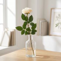 Artículo Rosa de albaricoque blanco cremoso, flor de seda, rosas artificiales L72cm Ø12cm