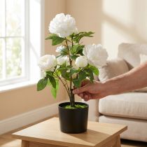 Artículo Paeonia artificial, peonía en maceta, planta decorativa flores blancas H57cm