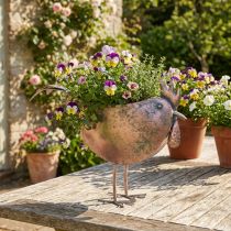 Artículo Maceta Pollo Metal Pájaro Metálico Rosado 51×16×37cm