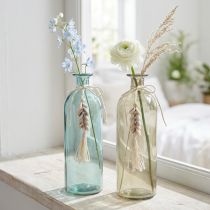 Artículo Botellas jarrón de vidrio decorativo conchas de cauri marítimo H26cm 2 piezas