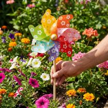 Artículo Estaca de jardín molino de viento molinete decoración de jardín colorido Ø31cm H75cm