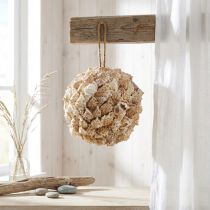 Artículo Bola decoración concha caracoles de mar Decoración marinera para colgar Ø18cm