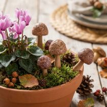 Artículo Estacas para flores, diseño de setas, estacas decorativas de madera, color marrón, Ø2,5 cm, 8 unidades