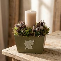 Artículo Macetero de madera, estilo shabby chic, verde, 11×14,5×14 cm