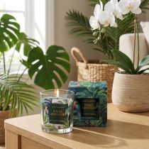 Artículo Vela perfumada en recipiente de cristal Vela Pepino-Eucalipto Verde Ø7cm