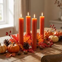 Artículo Velas cónicas velas teñidas de marrón 34×240mm 4ud