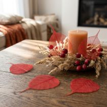 Artículo Hojas decorativas de Bodhi esqueletizadas para floristería y manualidades.