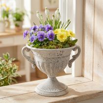 Artículo Trofeo antiguo con asas de metal, decoración vintage, gris y blanco, altura 18 cm.