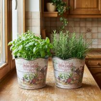Artículo Maceta para hierbas Plástico Fresh Garden A13,5cm 2pzs