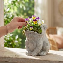Artículo Maceta decorativa con forma de rana, color gris hormigón, altura 18,5 cm.
