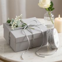 Artículo Cordón de papel plateado sin alambre Ø3mm 40m