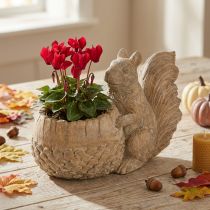 Artículo Jardinera con decoración de ardilla en piedra fundida 26×14×19cm