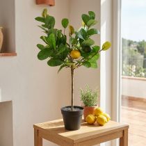 Artículo Limonero artificial en maceta, estilo mediterráneo, planta artificial de fácil cuidado, árbol cítrico decorativo, 57 cm de alto.