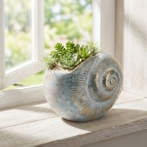 Artículo Contenedor decorativo en forma de caracol para diseño de pared marítimo y natural, gris, 21 cm