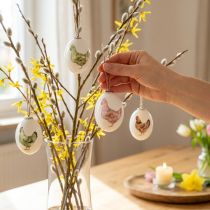 Artículo Huevos de Pascua plástico con gallina verde marrón 3,5-5,5cm 24 piezas