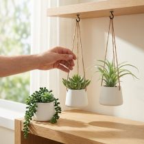 Artículo Cestas colgantes suculentas artificiales verdes surtidas 18cm 3ud