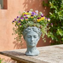 Artículo Busto de cabeza de planta gris azulado Ø8cm H15cm