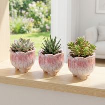 Artículo Mini maceta de cerámica con flores surtidas Ø8cm H7cm 3uds