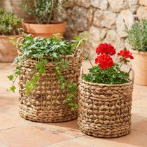 Artículo Juego de 2 cestas para plantas de algas marinas y jacinto de agua Ø31/26cm - cesta decorativa, cesta para flores, almacenamiento, ecológica, natural