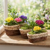Artículo Maceta para plantas, madera natural, 3 colores, L 29,5/25/23 cm, juego de 3