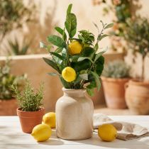 Artículo Ramas decorativas, limones y aceitunas artificiales, 50cm, jarrón mediterráneo, decoración de verano