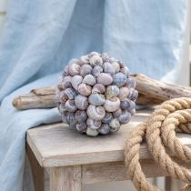 Artículo Esfera decorativa con diseño de concha marina, decoración marítima natural, Ø19 cm