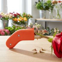 Artículo Quitaespinas de rosas de acero inoxidable sin espinas 80ES naranja para floristas