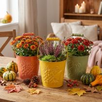 Artículo Cubo decorativo de frutas lavadas amarillo, naranja, verde Ø15cm H14cm juego de 3