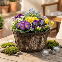 Artículo Maceta de corteza de abedul con diseño de enredadera natural, Ø28cm, H15cm, jardinera