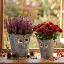 Artículo Macetero decorativo con forma de búho de zinc con asa, Ø15/19 cm, juego de 2