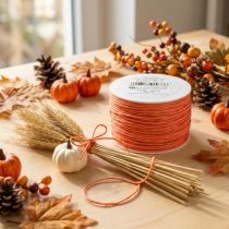 Artículo Cordón de papel envuelto en alambre Ø2mm 100m Naranja