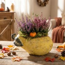 Artículo Maceta decorativa con forma de pera, maceta para plantas de otoño, de hormigón, 25×13×11 cm.