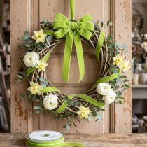 Artículo Cinta de terciopelo verde claro cinta decorativa terciopelo verde 10mm 20m