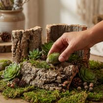 Artículo Juego de 5 piezas de corteza de corcho natural para manualidades y decoración, 30 x 20 cm